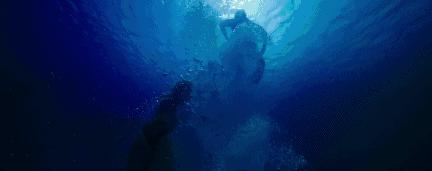 深海逃生电影《鲨海》：尊重内心的恐惧，你才能成长为有力量的人