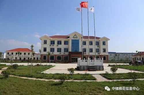 菏泽中储棉最新消息,菏泽中储棉现状