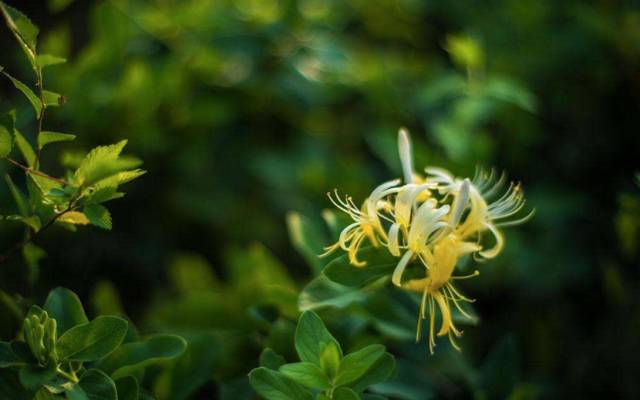 这些圣诞礼物没人送，我都愿意自己买，尤其是第1、3、4、5、6、7、8件