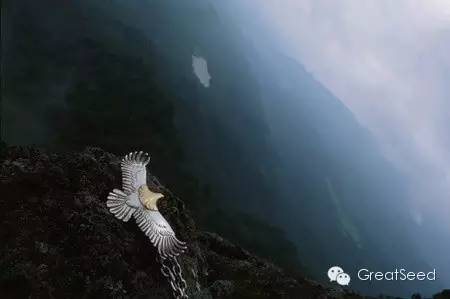 高桥吾郎|当手艺人失去了赖以生存的手指