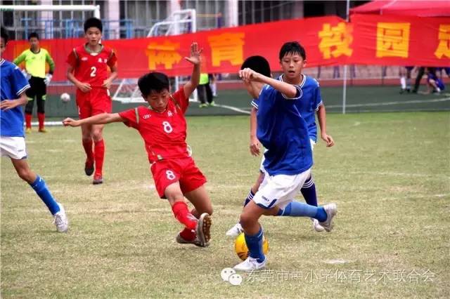 东莞市小学生足球比赛直播,2019东莞小学生篮球争霸赛