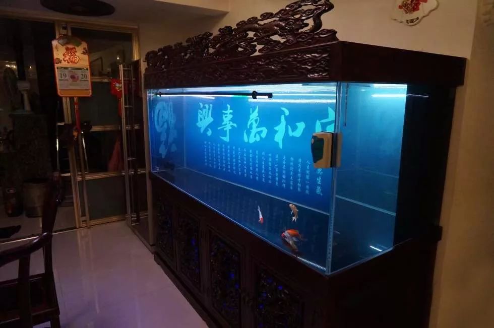 玩得细致、专业,出手不凡!