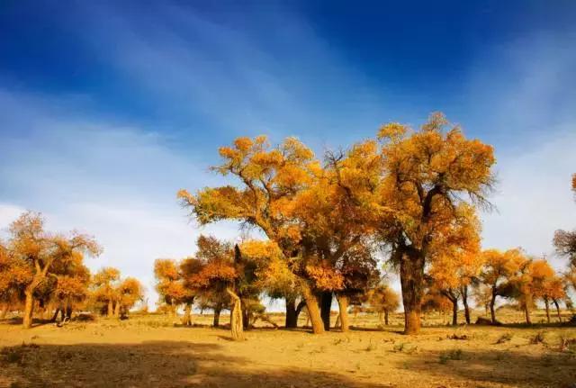 2018年等一个人陪我走川藏线,等一个人陪我去旅行