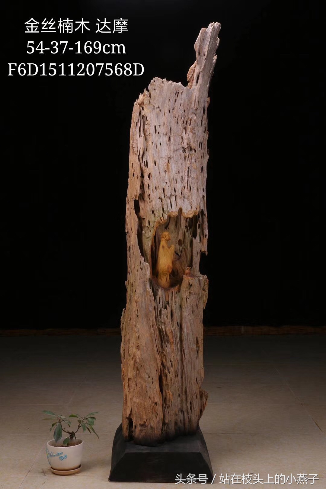 达摩面壁九年一朝得道,达摩面壁九年醒来第一句说了什么