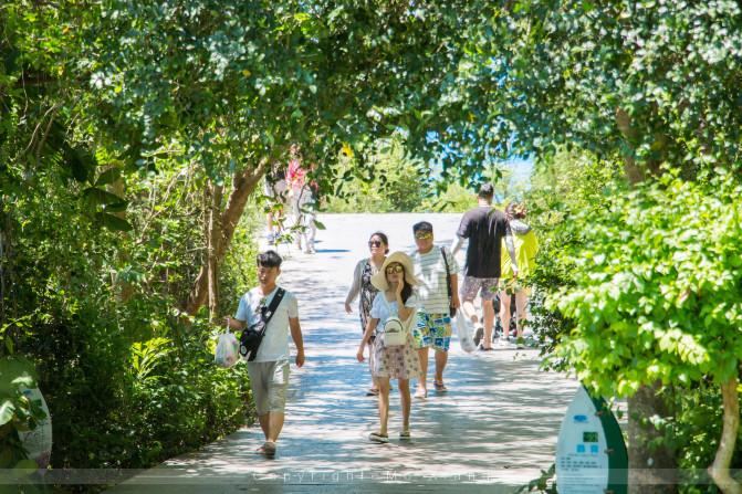 和父母的三亚之旅,带着爸妈去海岛旅游
