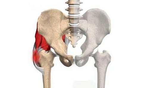 股骨头坏死，用药为何要讲“疗程”？