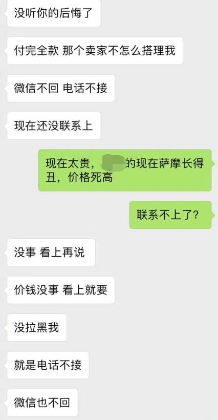 宠物爱心骗局新套路,宠物圈骗局大揭秘