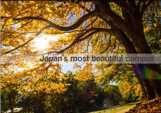 北海道大学英语授课本科申请之当代日本学研究（MJSP）怎么样？