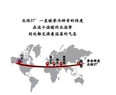 神奇的维度,神奇的维度是什么