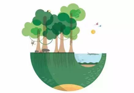 兰海引导叛逆期孩子,兰海育儿经青春期的叛逆男孩