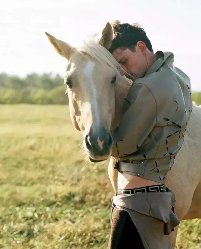 巴洛克范思哲风格,范思哲巴洛克花纹