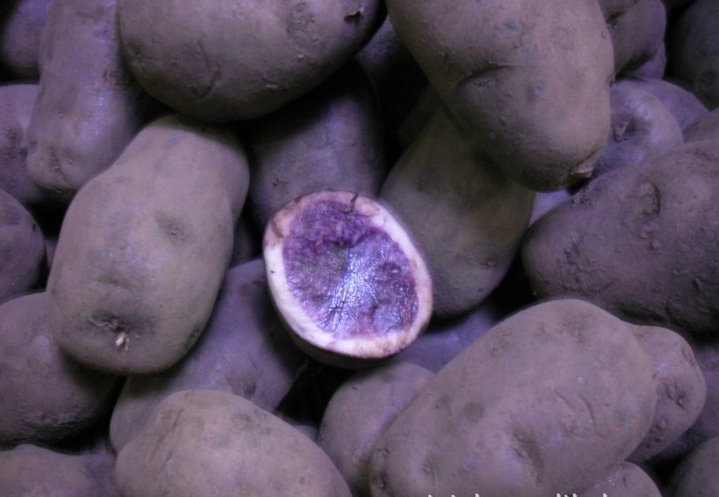 黑土豆有什么作用和功效,黑土豆有什么作用