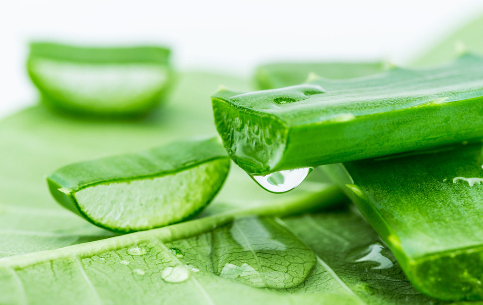 自然共和国芦荟胶效果怎么样,自然共和国芦荟胶怎么样