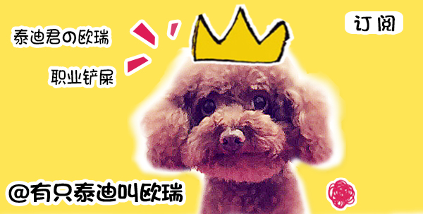 狗抱猫咪使劲摇晃视频,狗狗抱主人抖动视频