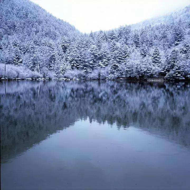 一下雪峨眉山就成了仙境,一下雪川西便美成了天堂