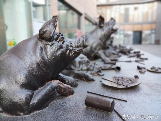 为拍照而生的手机,三星c9拍照测评