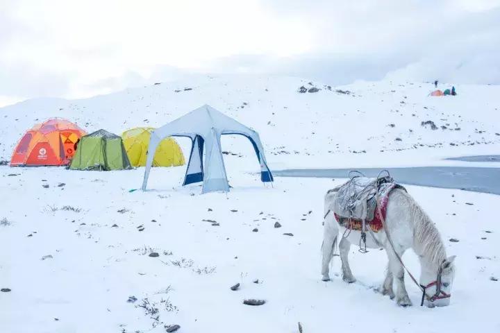 一下雪峨眉山就成了仙境,一下雪川西便美成了天堂