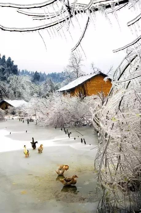 南国里的冰雪童话——连州