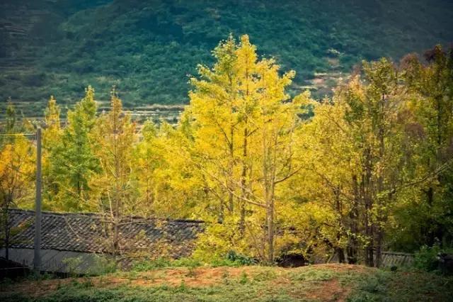 连州雪景旅游区,粤北连州风景