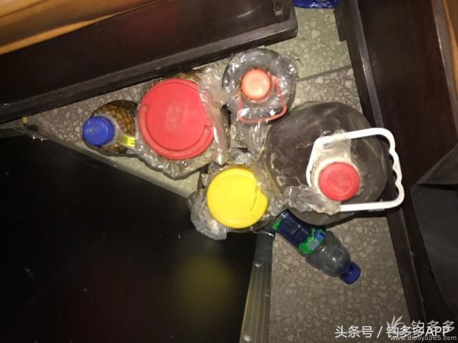 钓鱼圈天赋,学钓鱼从零开始野钓选鱼钩