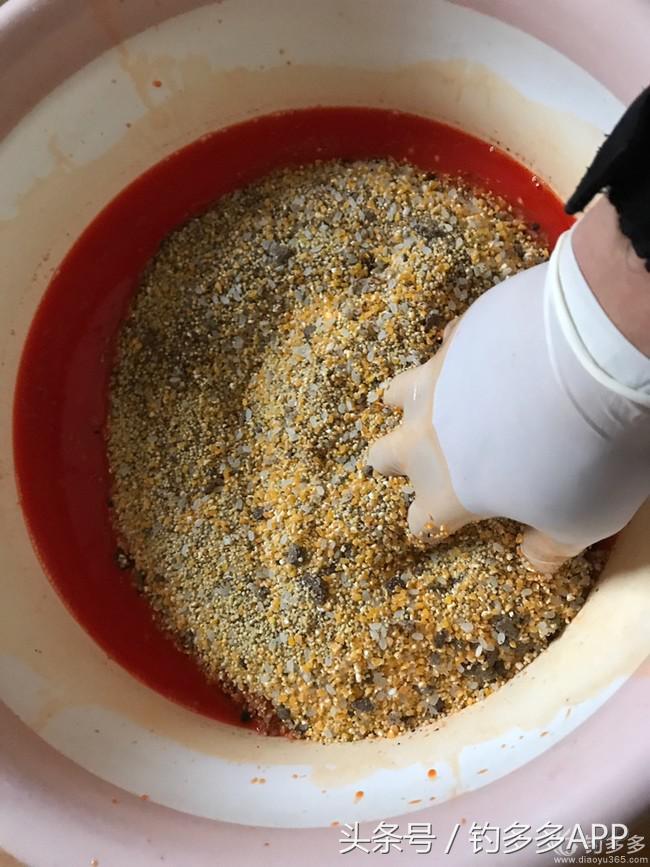 钓鱼圈天赋,学钓鱼从零开始野钓选鱼钩