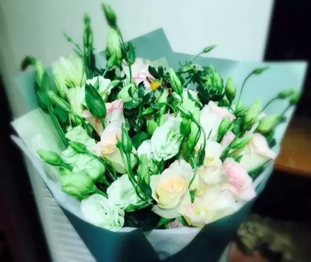 在贵州做个花房姑娘,打发慵懒时光!