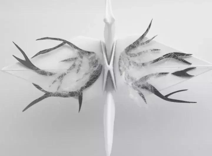 他用3个月时间，折叠了1000只千纸鹤，送给了他最亲爱的姑娘