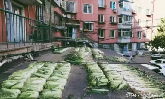 今天第一场雪视频,今天的第一场雪视频