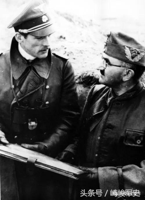 矢车菊凋谢在多瑙河畔：*党**卫军第22“玛丽亚·特蕾莎”骑兵师简史