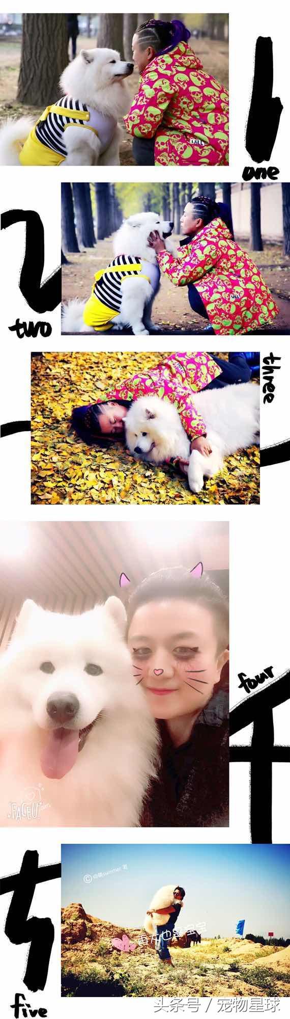 金毛狗有多暖心,狗界暖男金毛