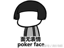 pokerface完整版,pokerface是个什么人