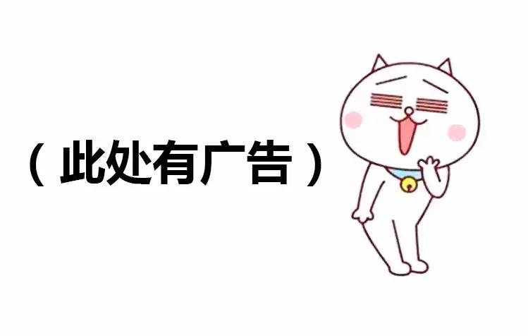 悉尼跨年烟花攻略,悉尼跨年流程