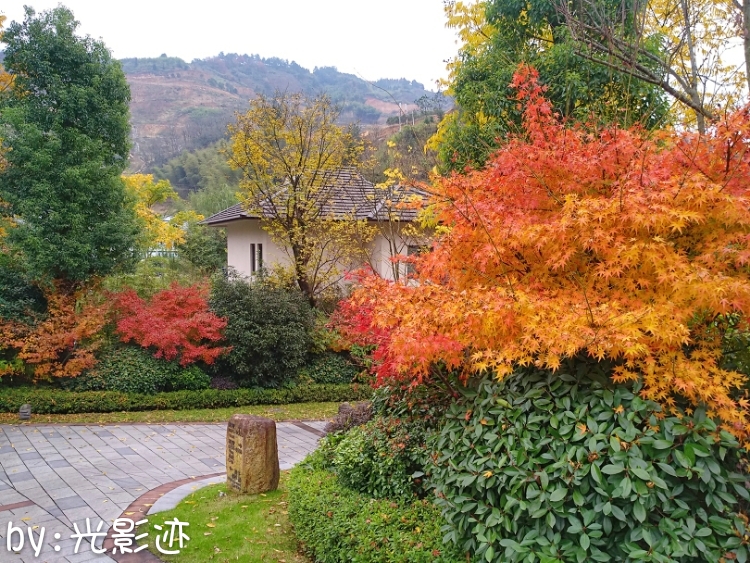 临安湍口众安温泉池,临安温泉湍口温泉测评