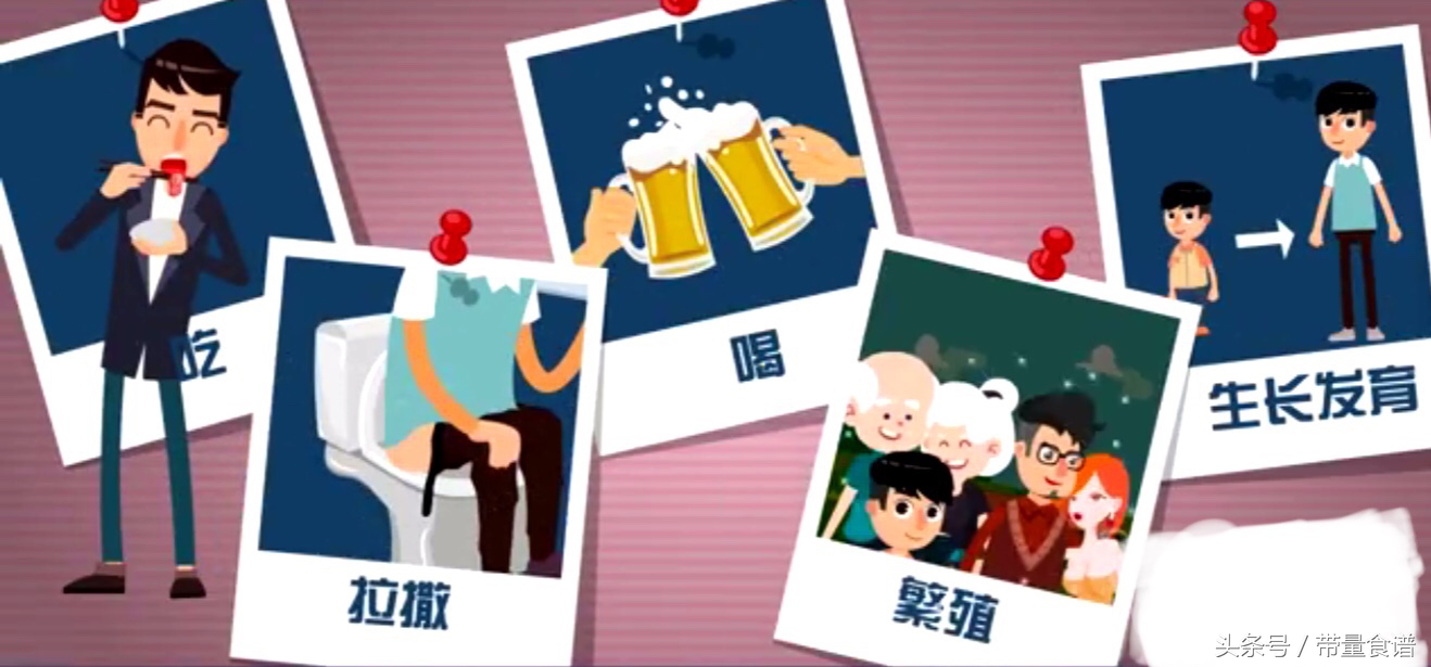 小三阳和大三阳报告单都是数字,认识乙肝视频