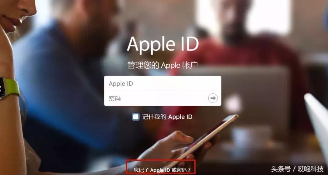 平板appleid忘记密码怎么办,平板appleid密码忘了怎么办