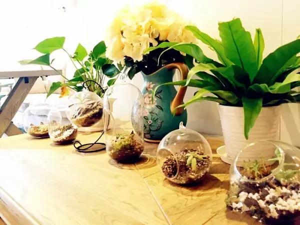 武汉顶级美食打卡,武汉美食推荐高档必吃探店