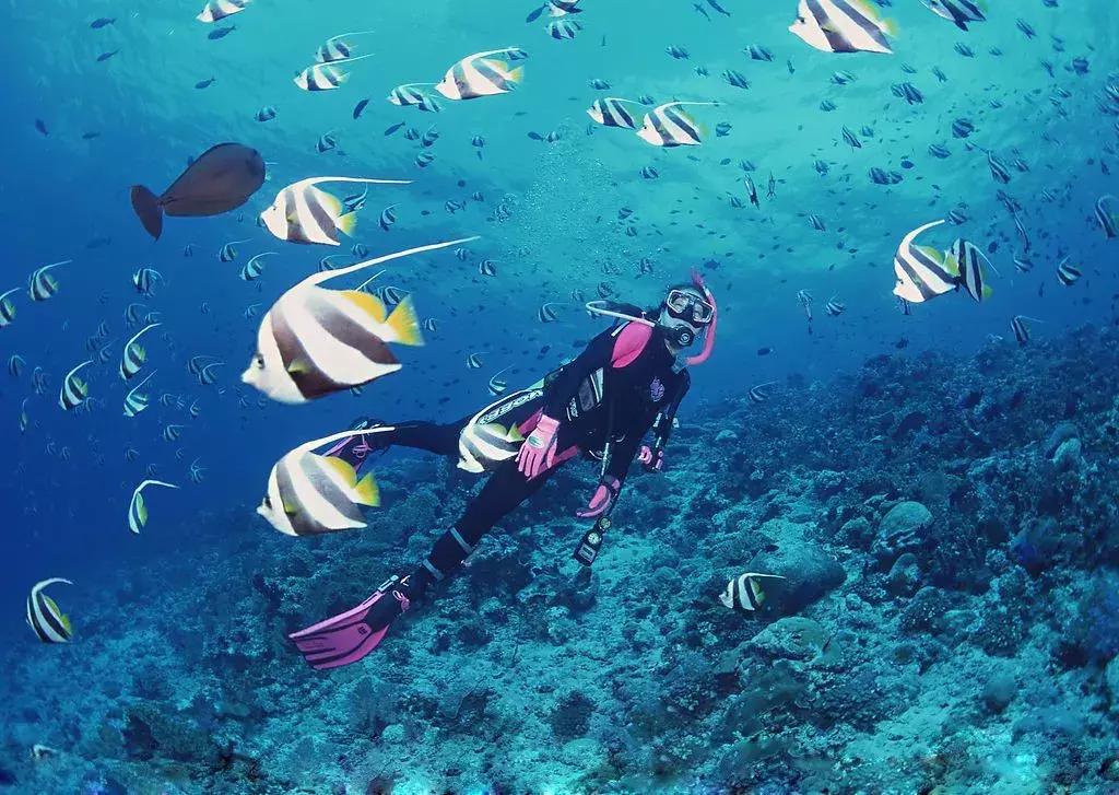 这里是中国人的“情人岛”，比巴厘岛浪漫，比塞班岛热情