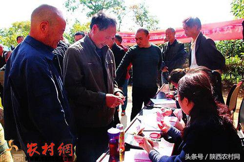 临潼区农林局发展都市生态农业助力精准扶贫