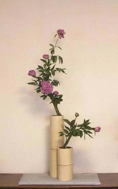 花艺插花小技巧简单,插花花艺的鉴赏与制作方法