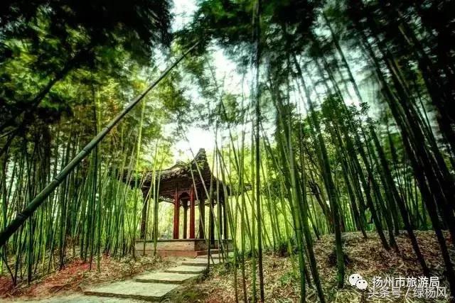 扬州的冬天,冬天的扬州美景