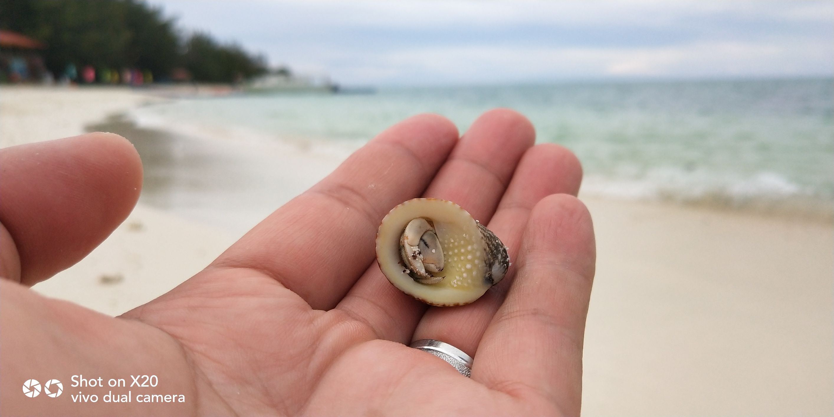 带着vivo x20去旅游 (vivox20plus沙巴之旅)