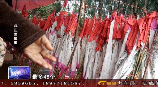 不要998只要9.8英文,不要998只要99英文