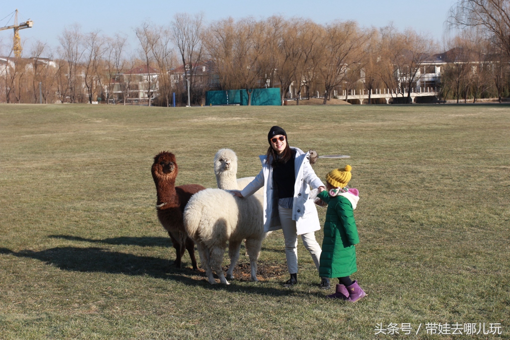 奥森附近小动物乐园,奥森公园世外桃源