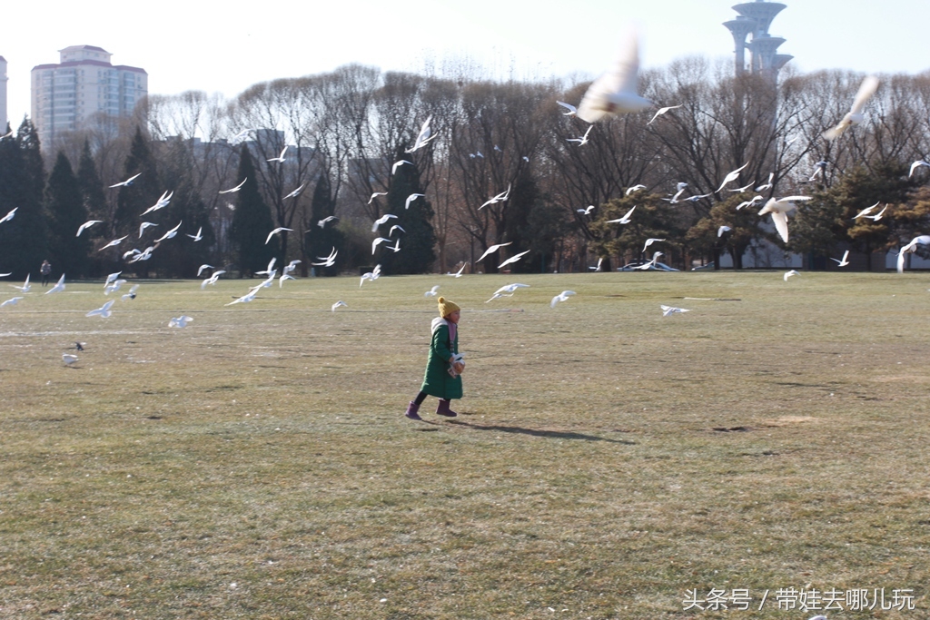 奥森附近小动物乐园,奥森公园世外桃源