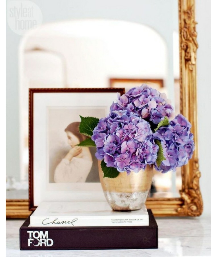 pantone2024夏季,pantone经典颜色