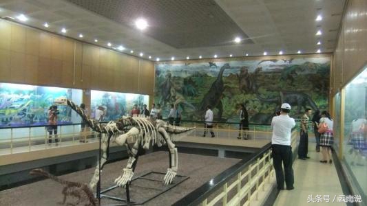 禄丰世界恐龙谷相约一亿年,世界恐龙谷和禄丰恐龙地质公园