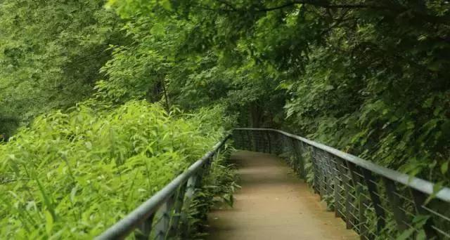 冬天成都两天来回得哪里去玩,成都3-5天短途旅游推荐