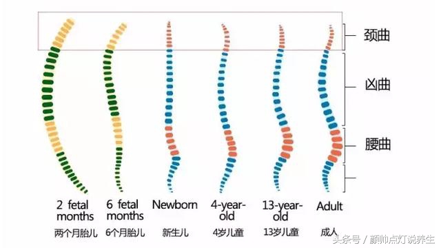 中医讲睡眠知识,中医睡眠养生小妙招