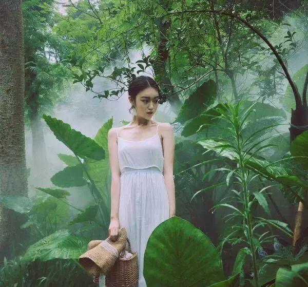 去厦门旅游怎么玩最好,去厦门该怎么玩