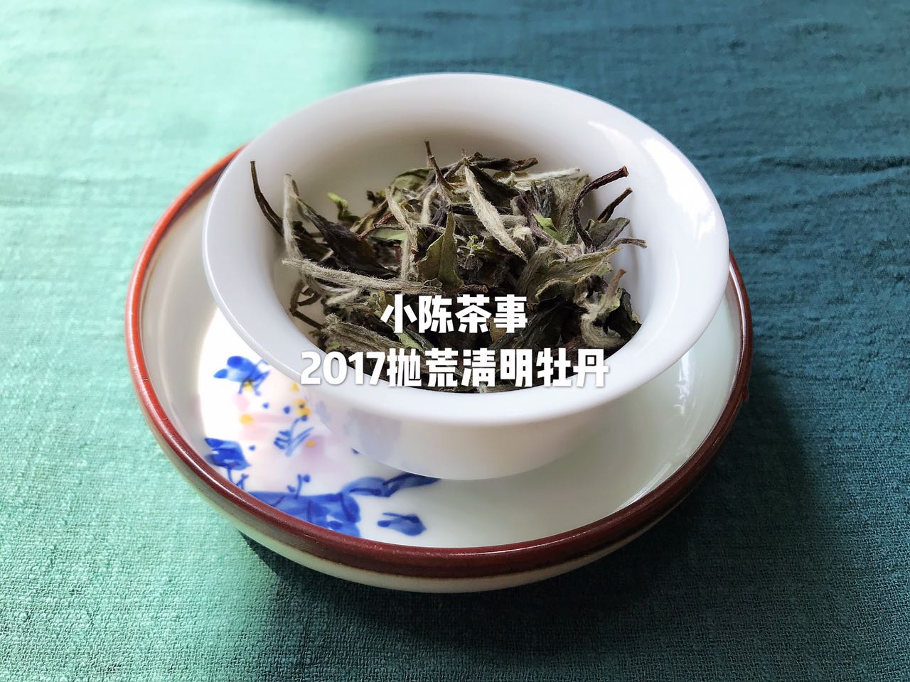 白茶知识100问,20秒了解白茶全集